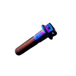 KTM Shift Lever Bolt Titanium