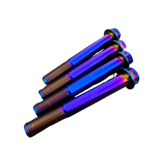 BETA XTrainer 2022  Fork Bolts: Titanium Axle Lug Pinch
